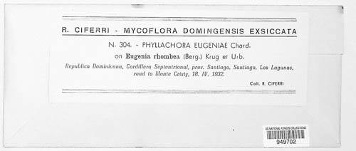 Phyllachora eugeniae image